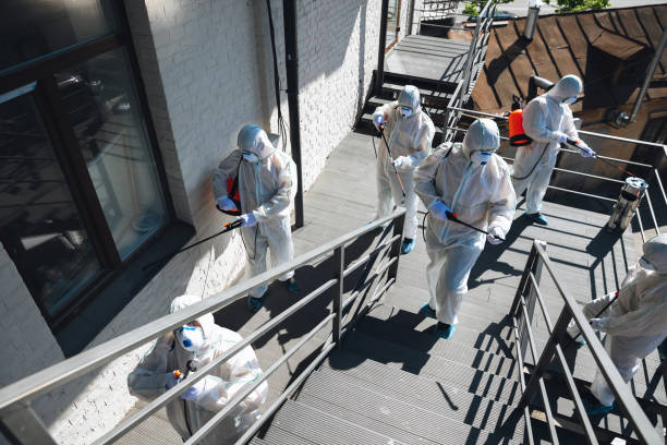 Best Mold Removal for HVAC Installations  in Rochester, MN