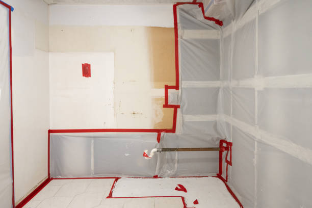 Best Residential Mold Inspection & Testing  in Rochester, MN