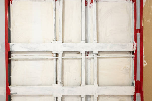 Best Industrial Mold Remediation  in Rochester, MN