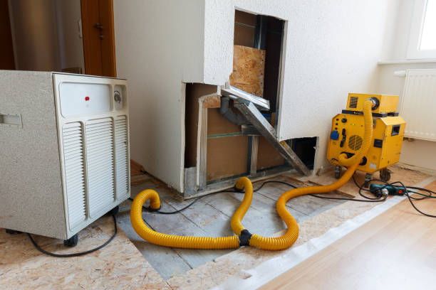  Rochester, MN Mold Removal Pros